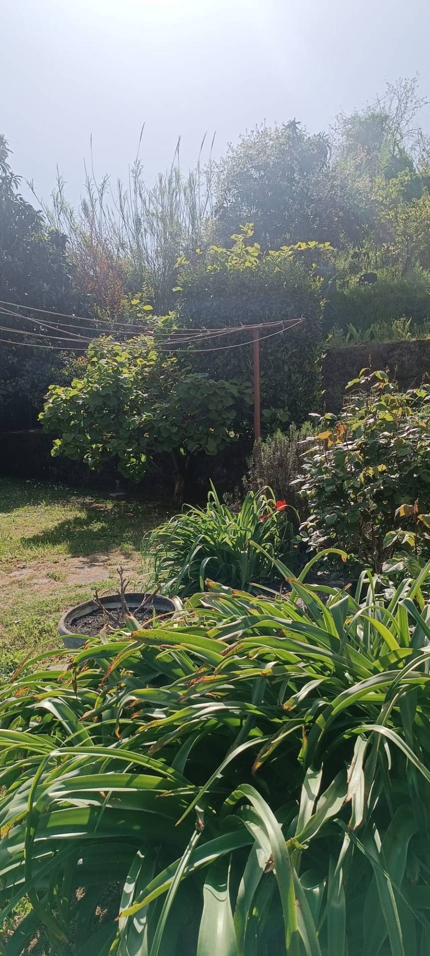 Villa in vendita a Follo, Valdurasca