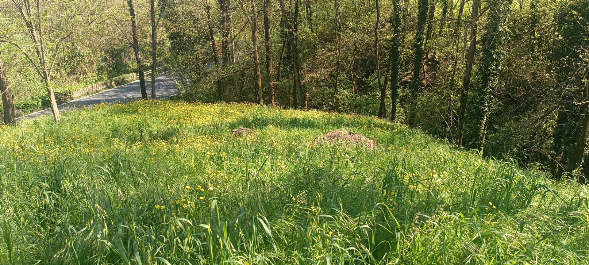 Rustico in vendita a Aulla