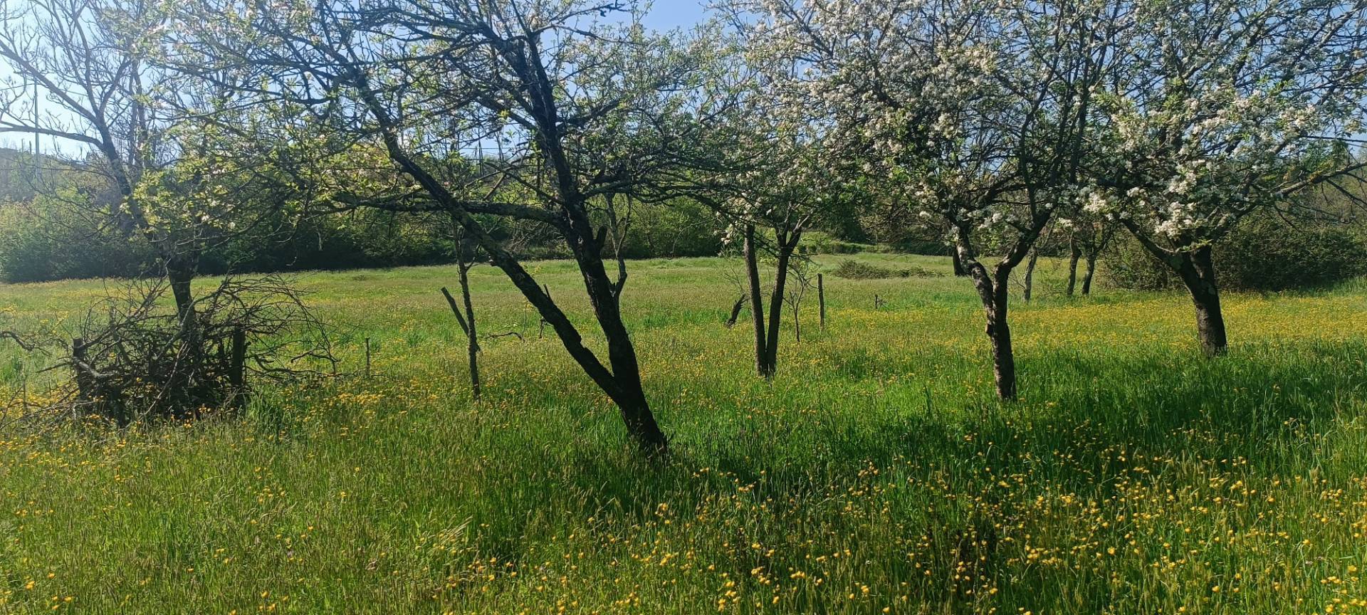 Rustico in vendita a Aulla