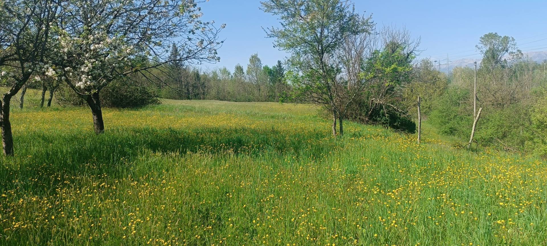 Rustico in vendita a Aulla