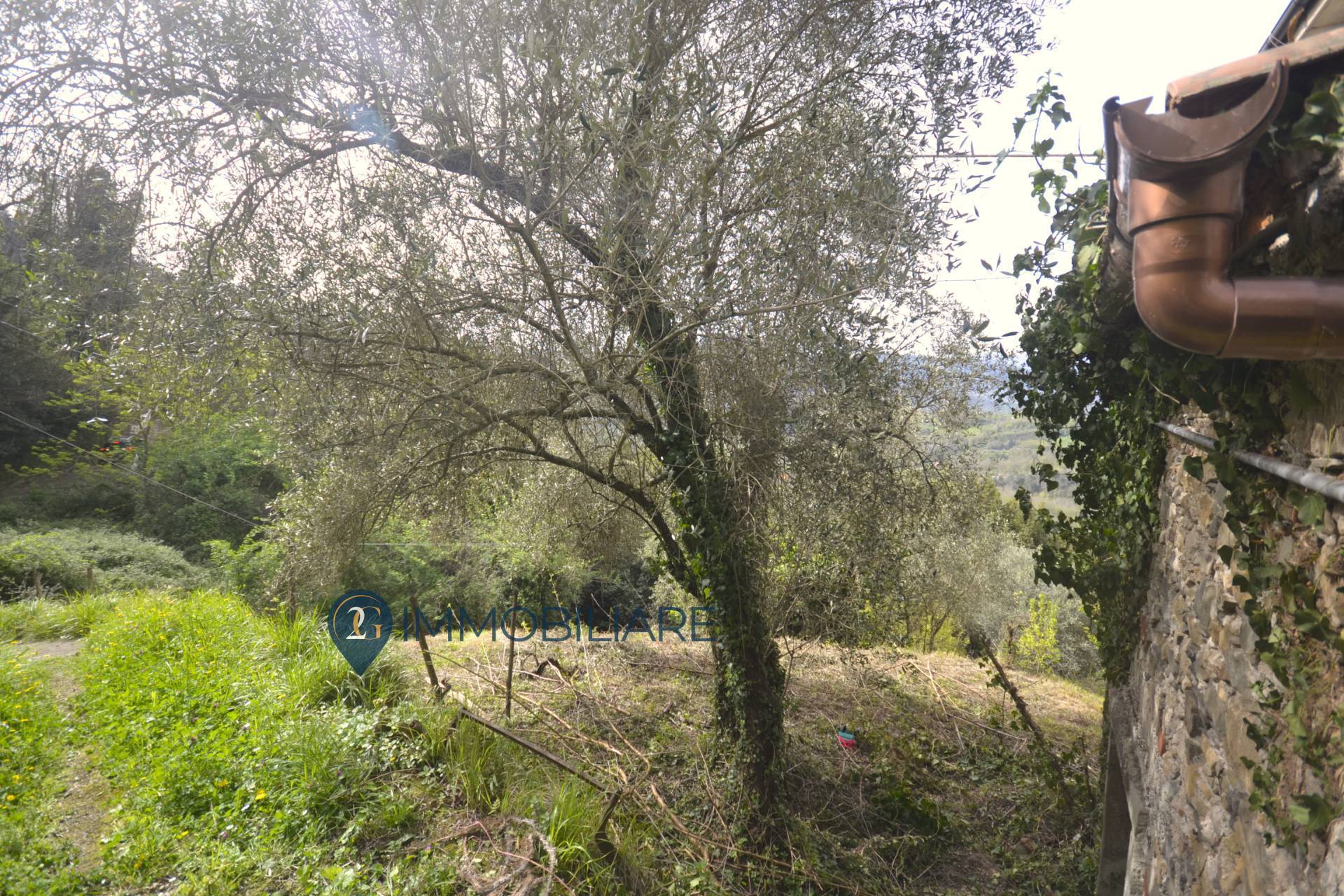 Casa singola in vendita a Calice al Cornoviglio, Usurana