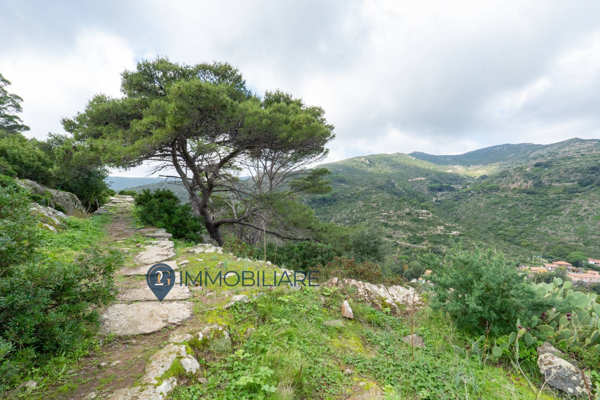 Villa in vendita a Capraia Isola