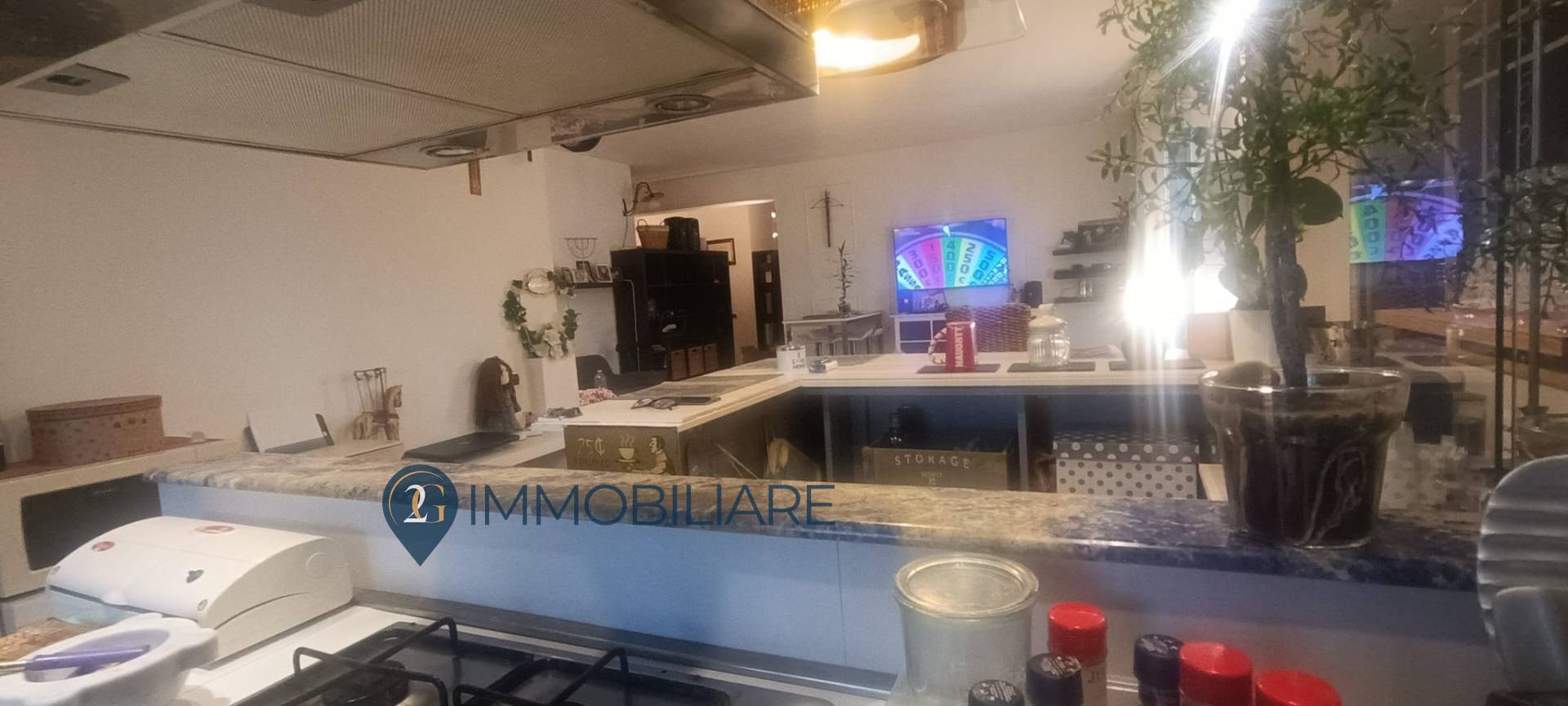 Appartamento in quadrifamiliare in vendita a Castelnuovo Magra, Molicciara