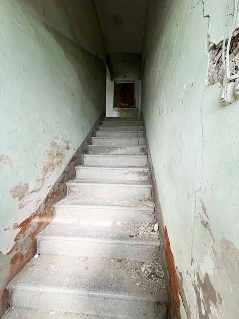 immagine annuncio 3 di 6