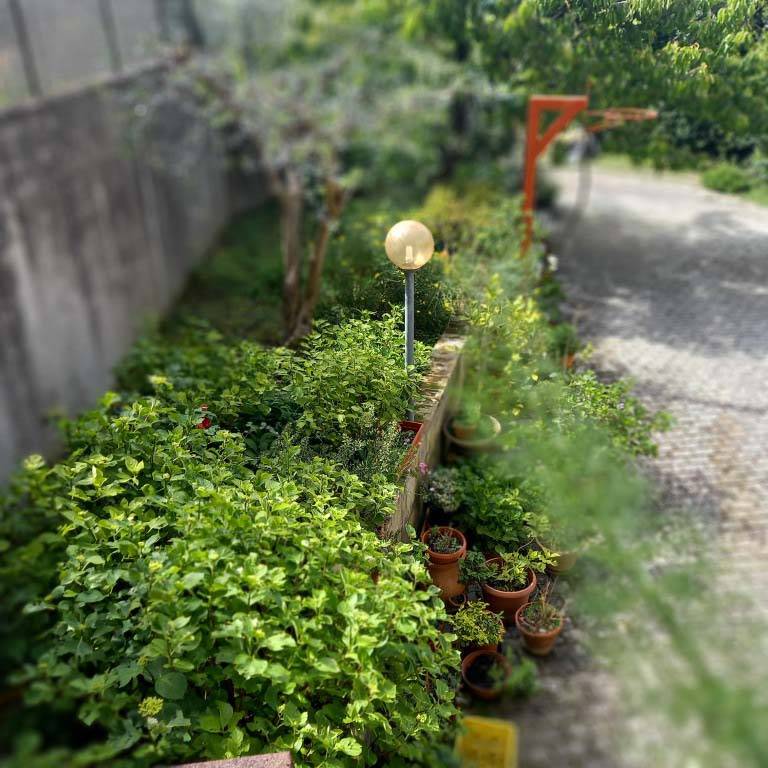 Appartamento in vendita a Pesaro