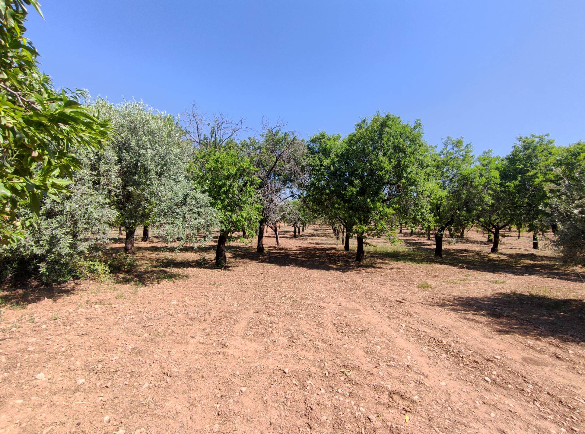 Rustico con terrazzo a Noto