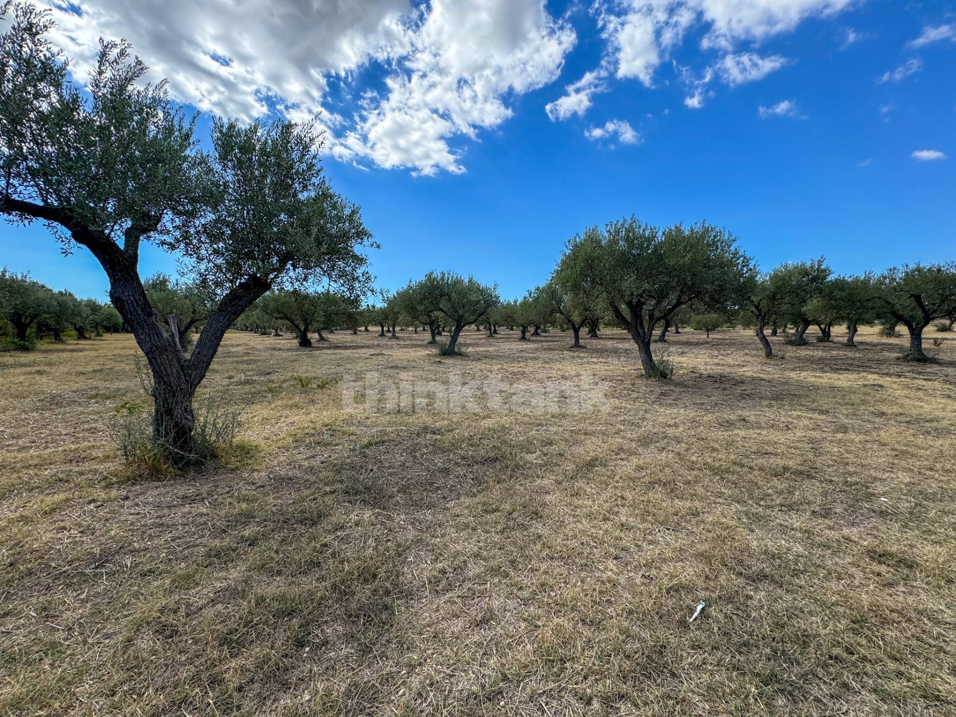 Terreno in vendita a Noto