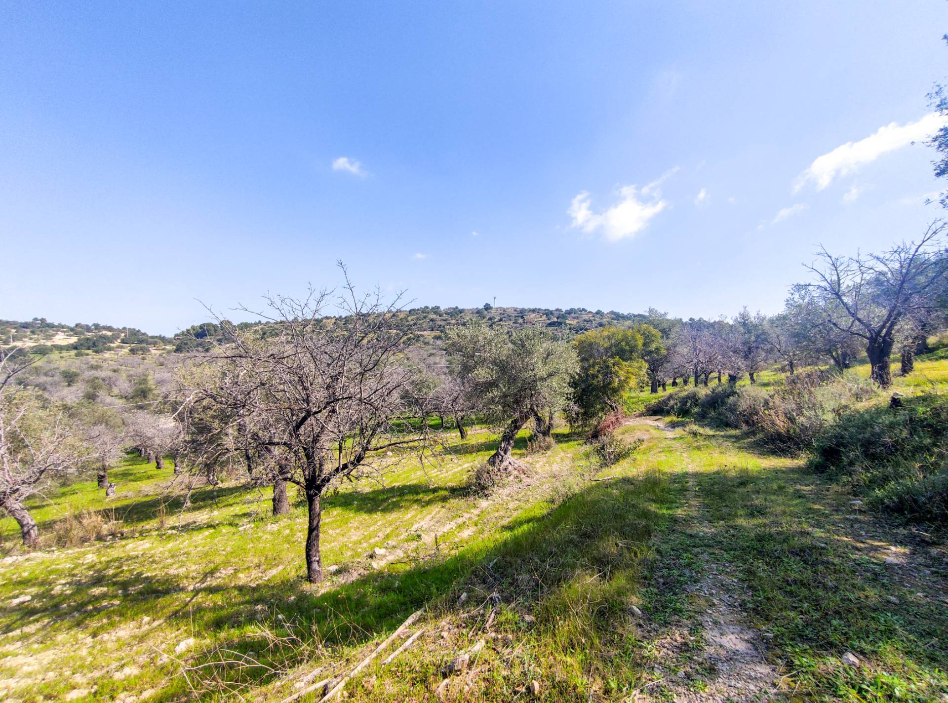 Rustico/Casale/Corte in vendita a Noto