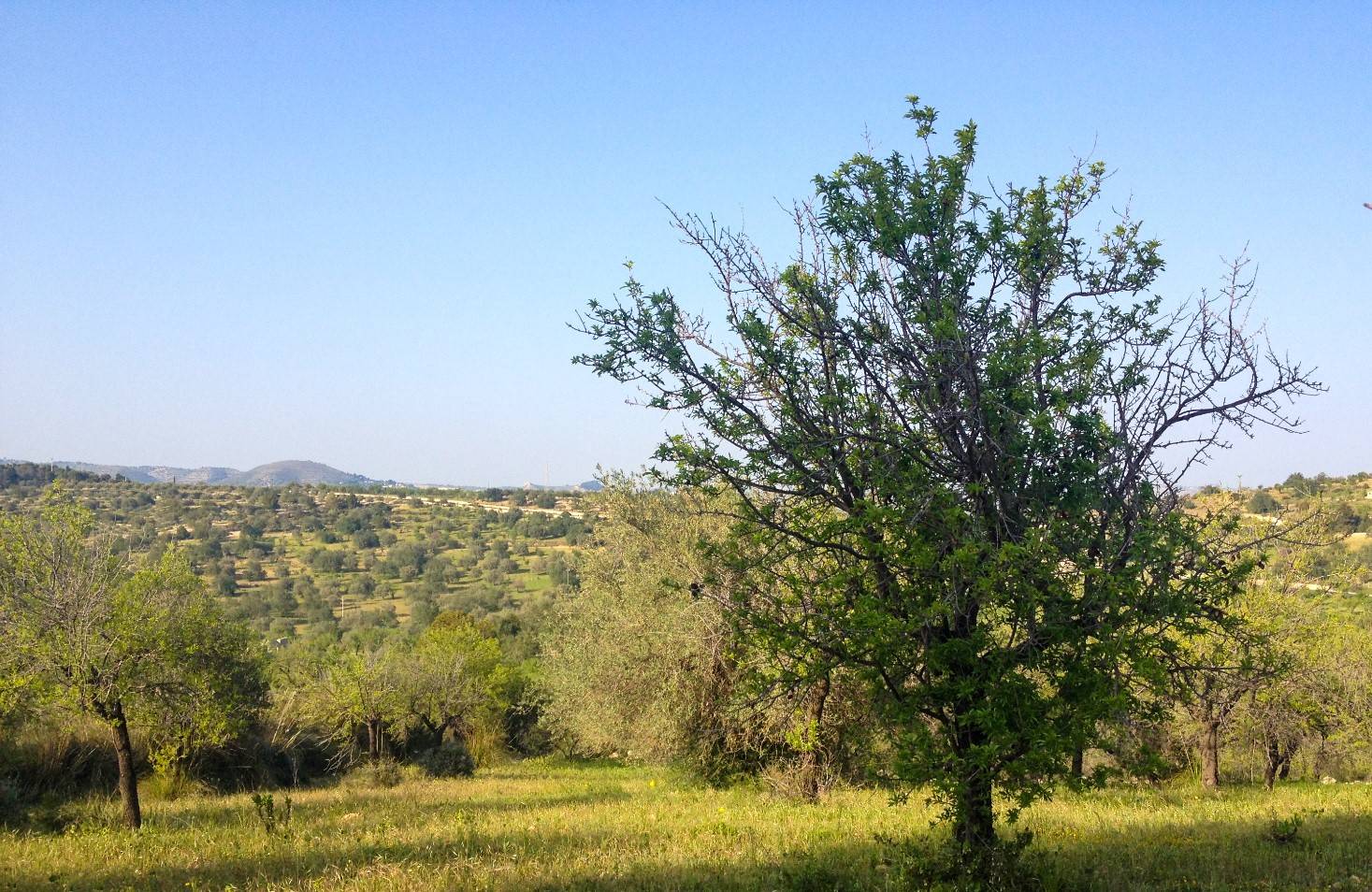 Rustico/Casale/Corte in vendita a Noto