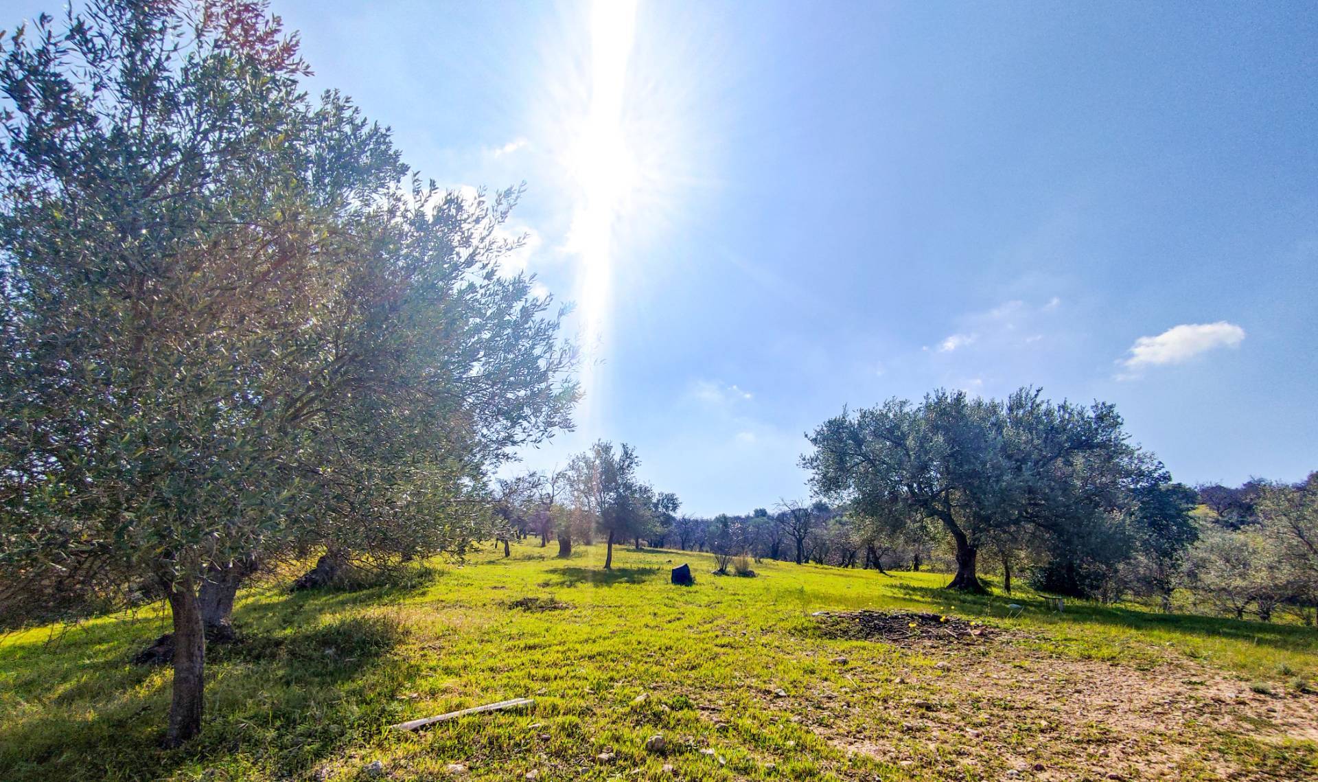 Rustico/Casale/Corte in vendita a Noto