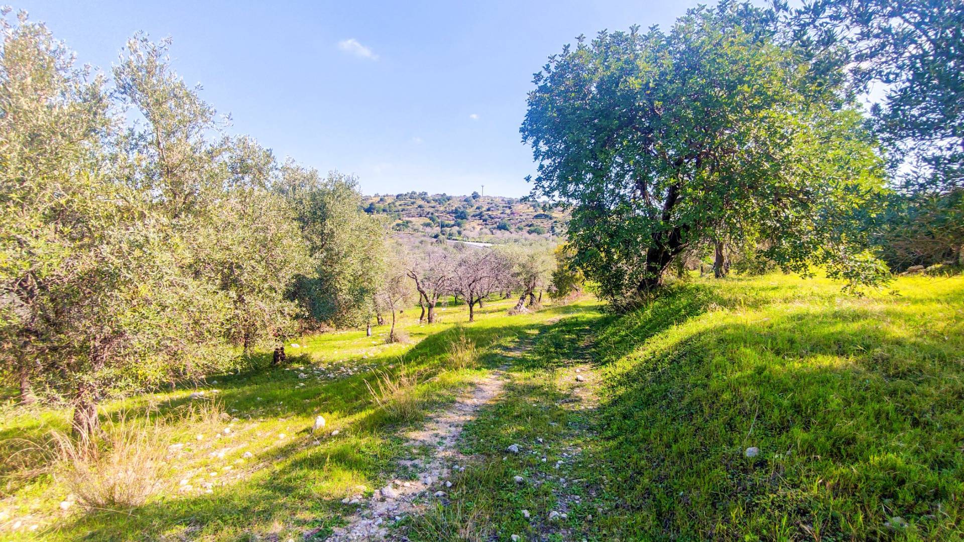 Rustico/Casale/Corte in vendita a Noto