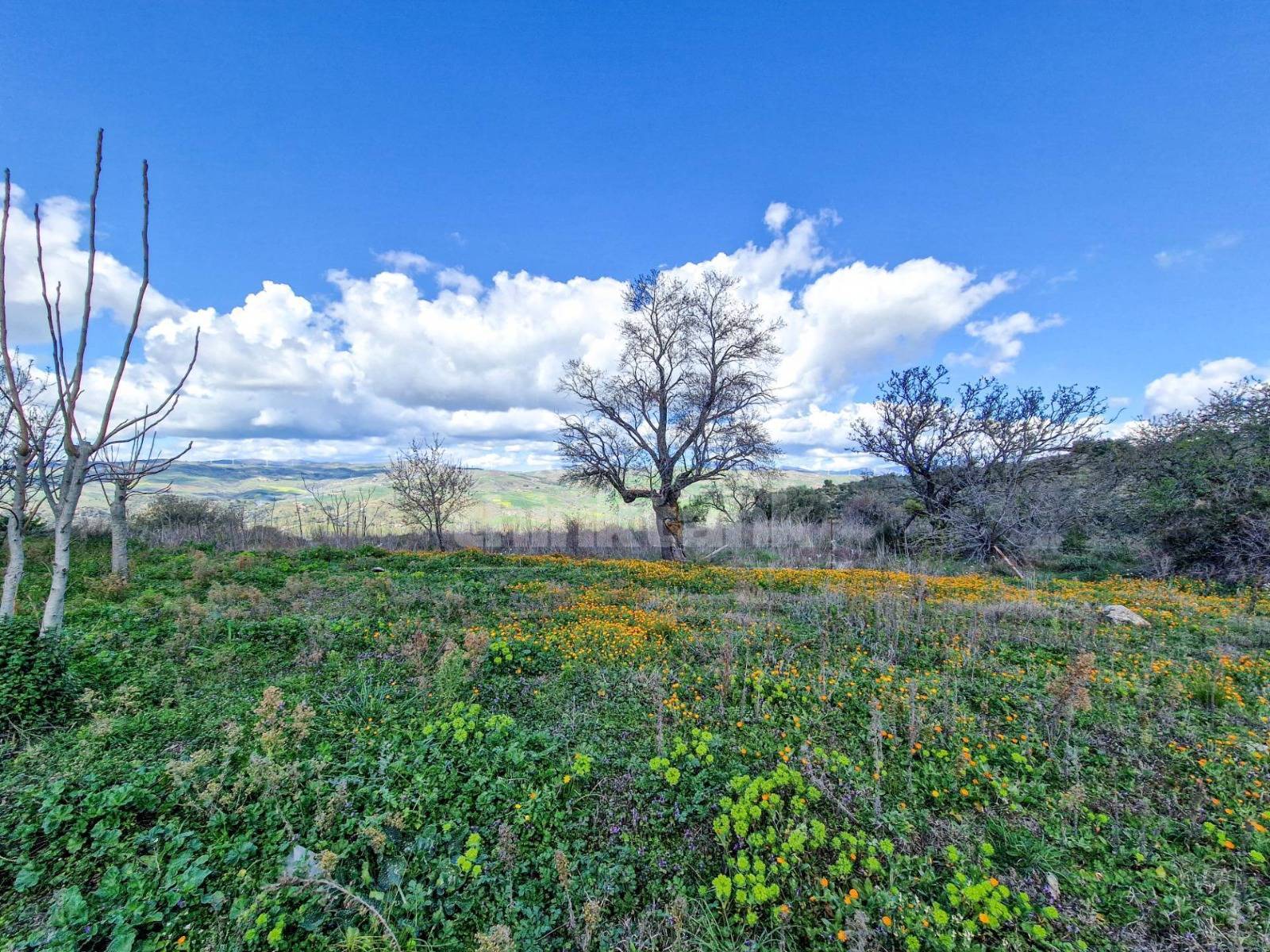 Rustico/Casale/Corte in vendita a Nissoria