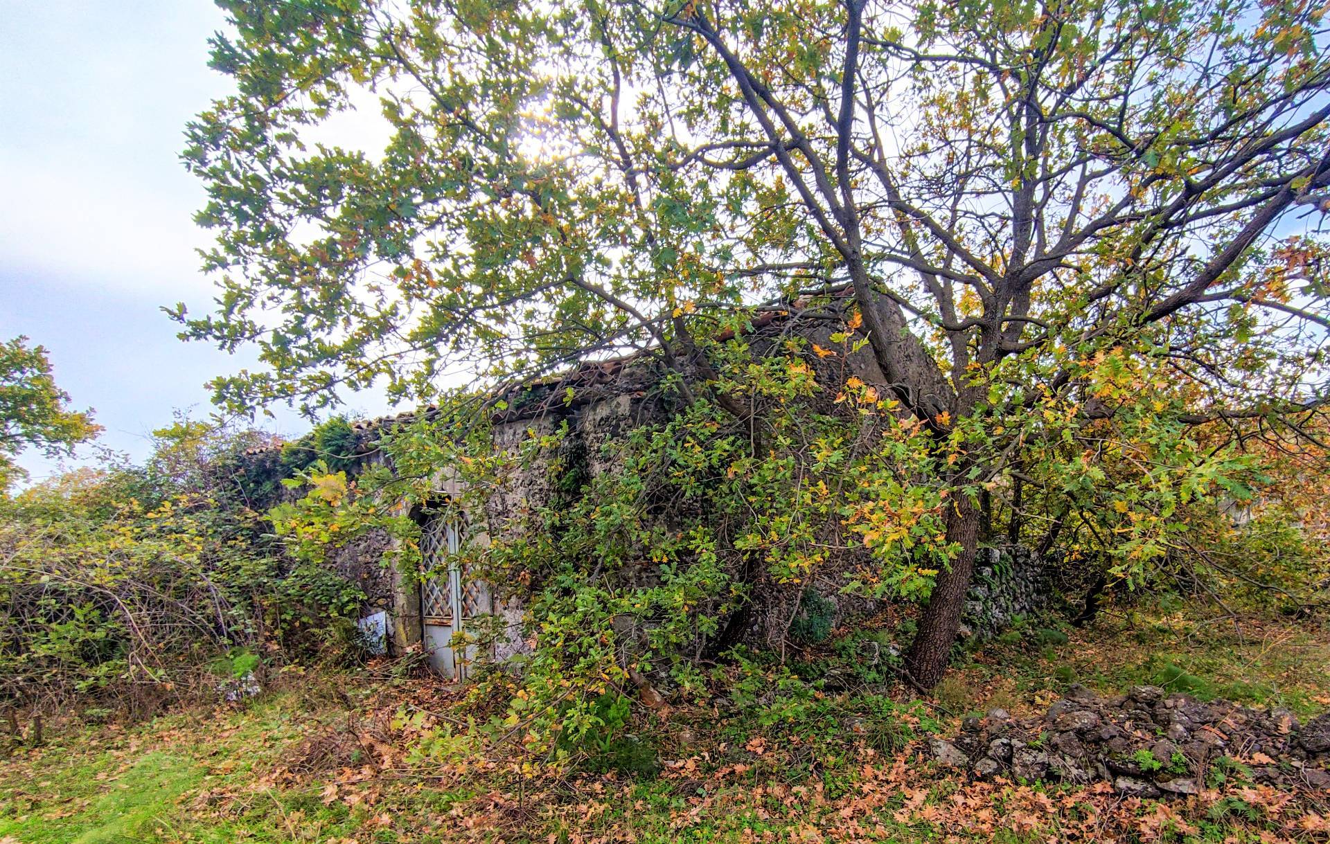 Rustico/Casale/Corte in vendita a Linguaglossa