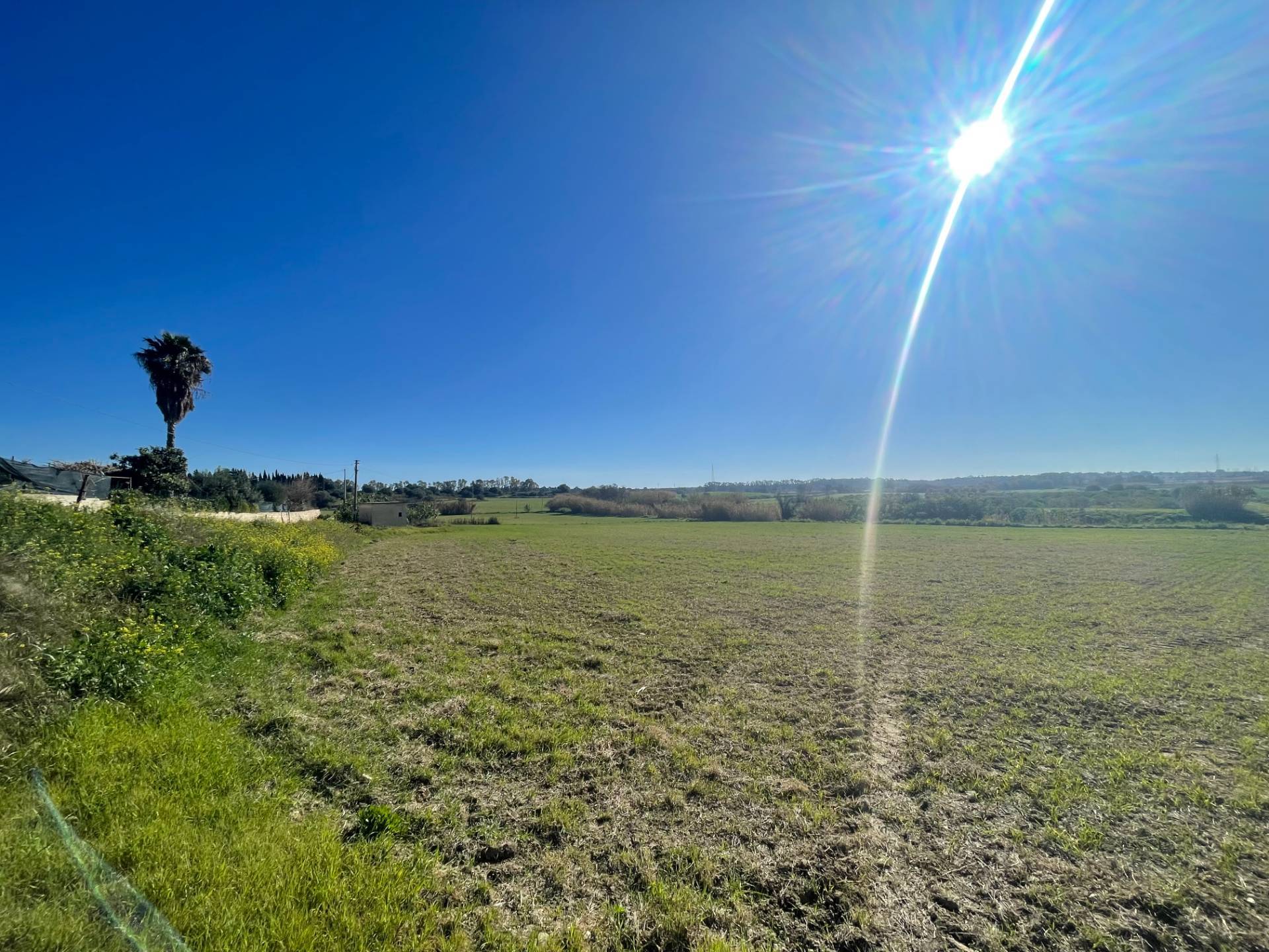Terreno agricolo in vendita a Siracusa