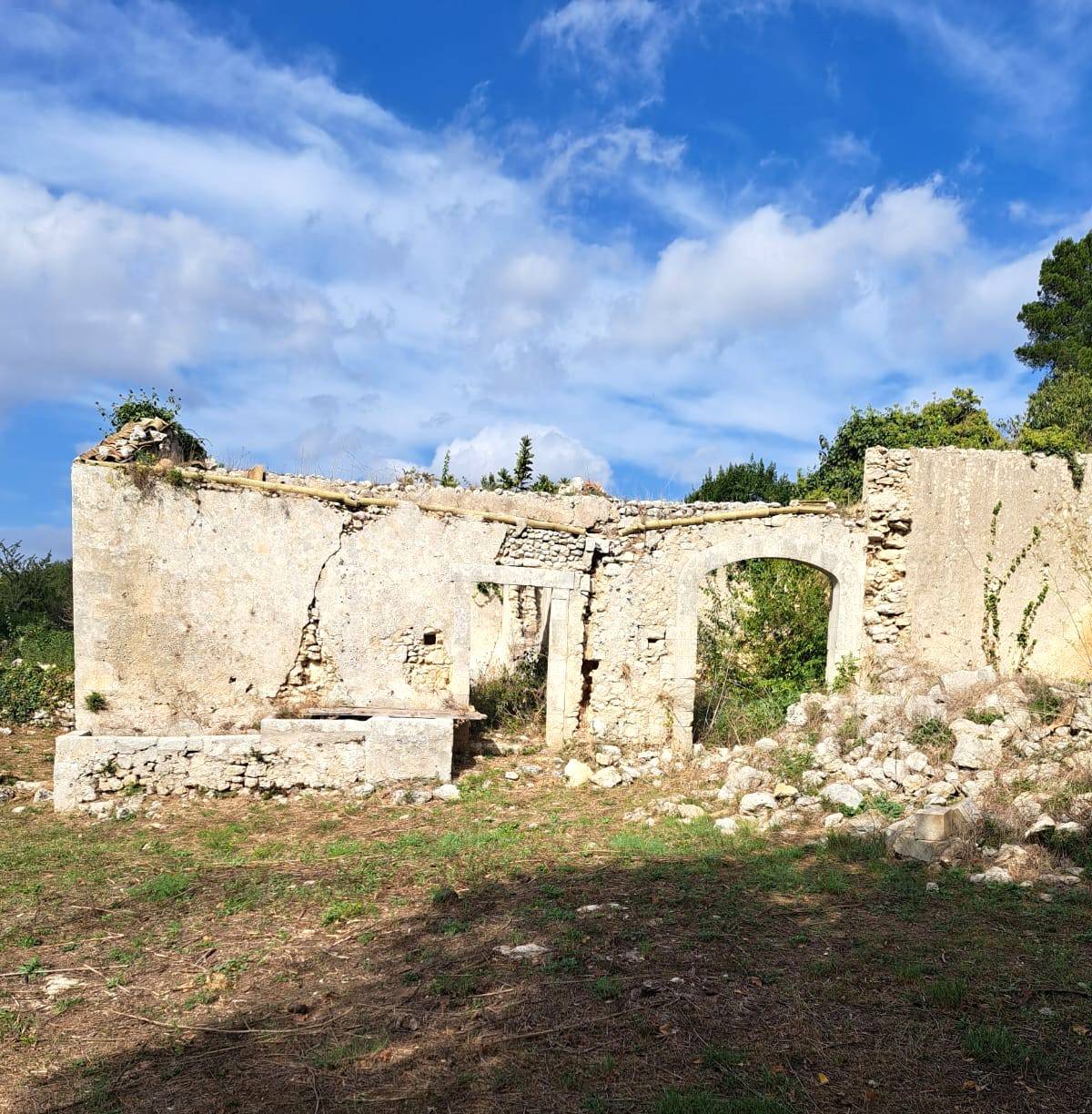 immagine annuncio 1 di 6