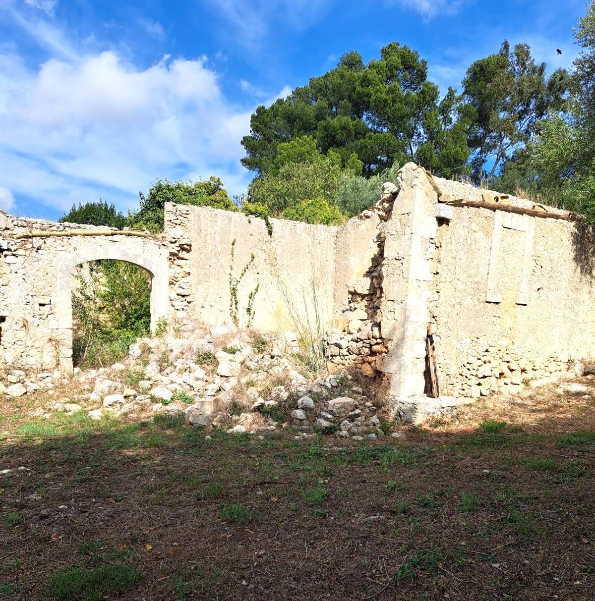 immagine annuncio 2 di 6