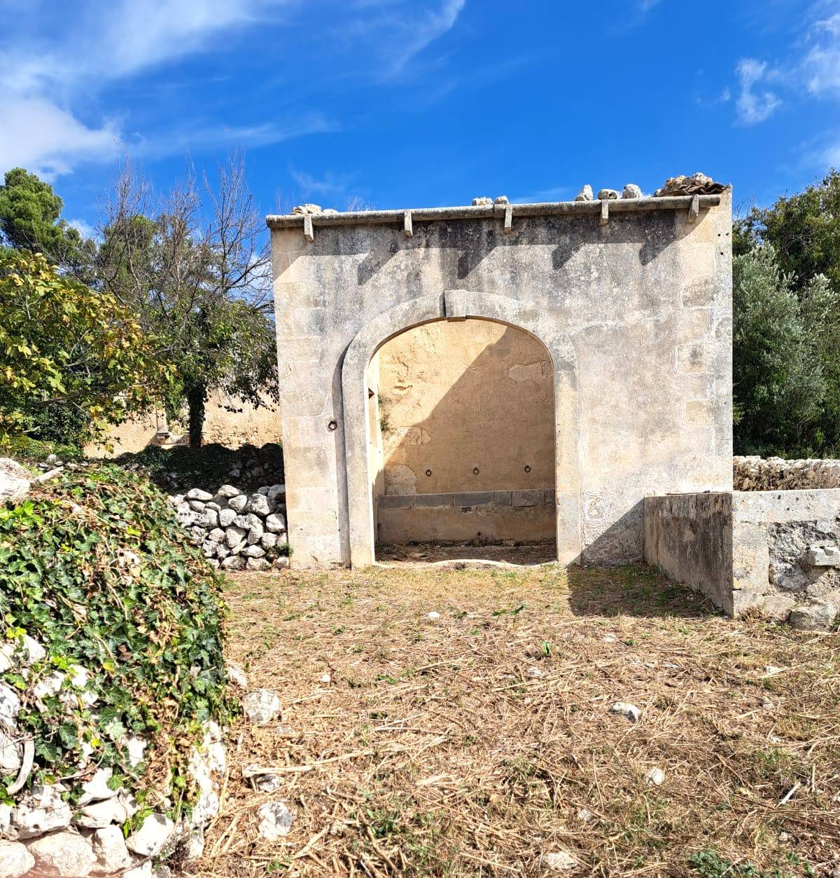 immagine annuncio 3 di 6