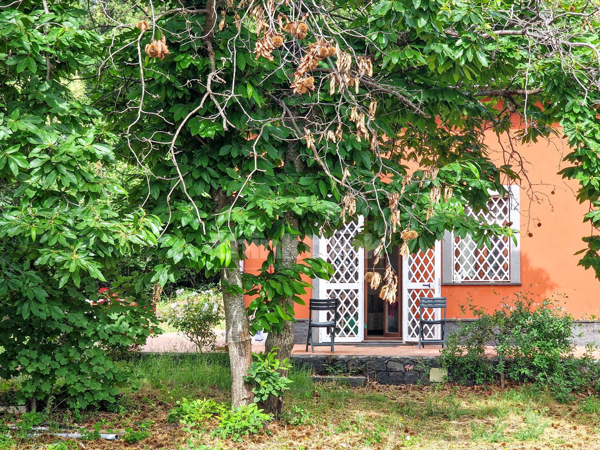 Casa indipendente in vendita a Piedimonte Etneo