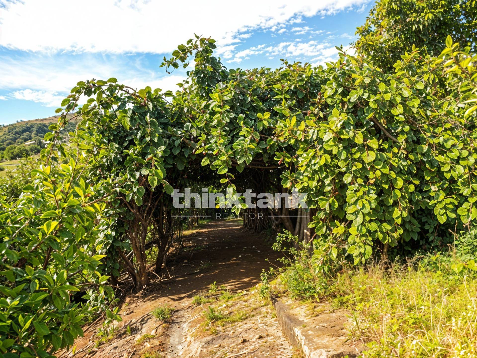 Rustico/Casale/Corte in vendita a Piedimonte Etneo
