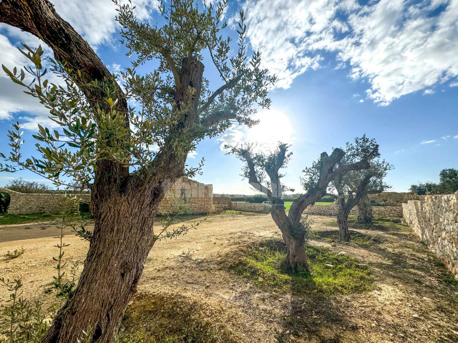 Rustico/Casale/Corte in vendita a Noto