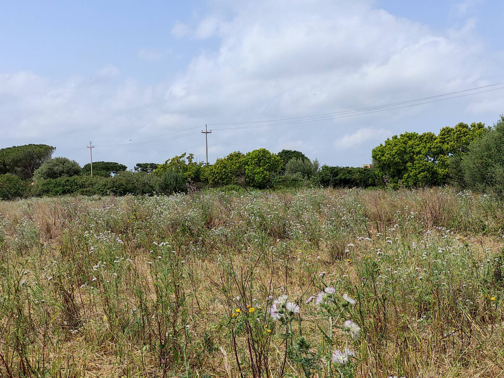 Terreno Edificabile in vendita a Siracusa