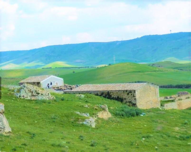 Rustico/Casale/Corte in vendita a Niscemi