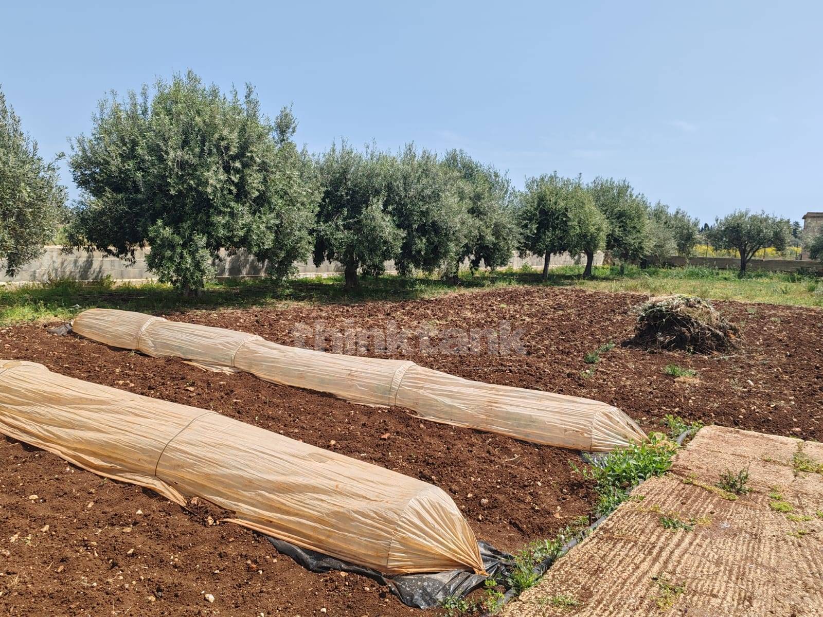 Terreno Edificabile in vendita a Siracusa