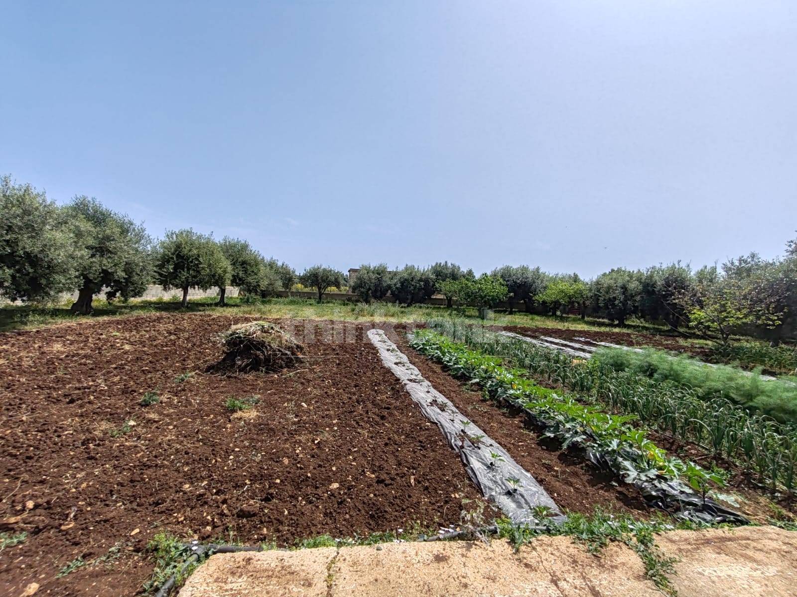 Terreno Edificabile in vendita a Siracusa