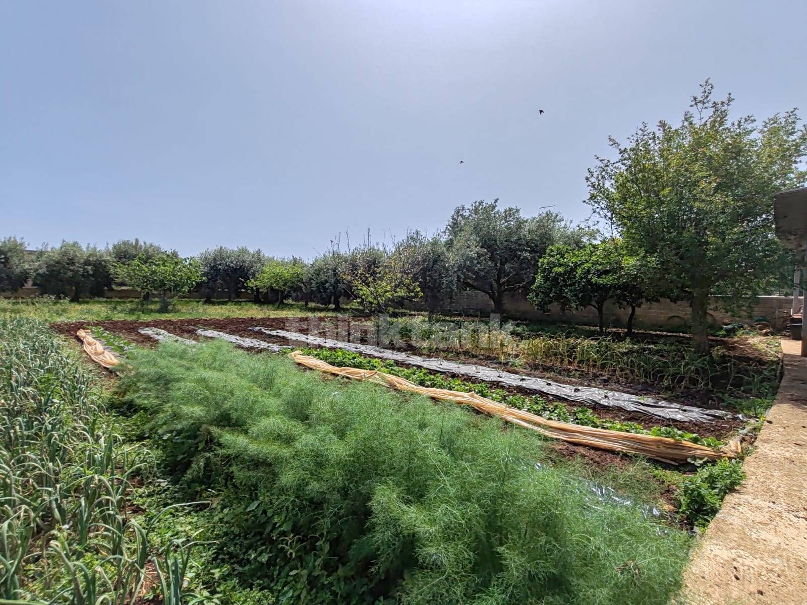 Terreno Edificabile in vendita a Siracusa