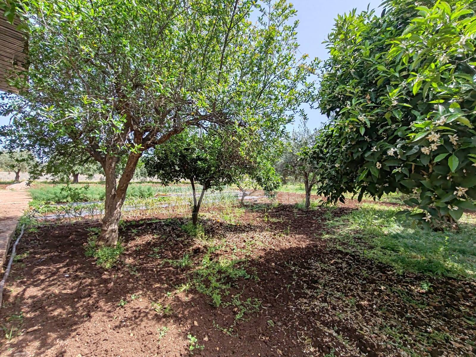 Terreno Edificabile in vendita a Siracusa