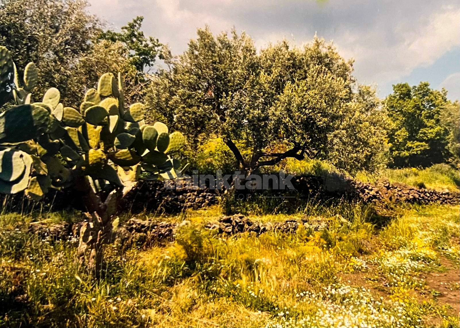 Rustico/Casale/Corte in vendita a Ragalna