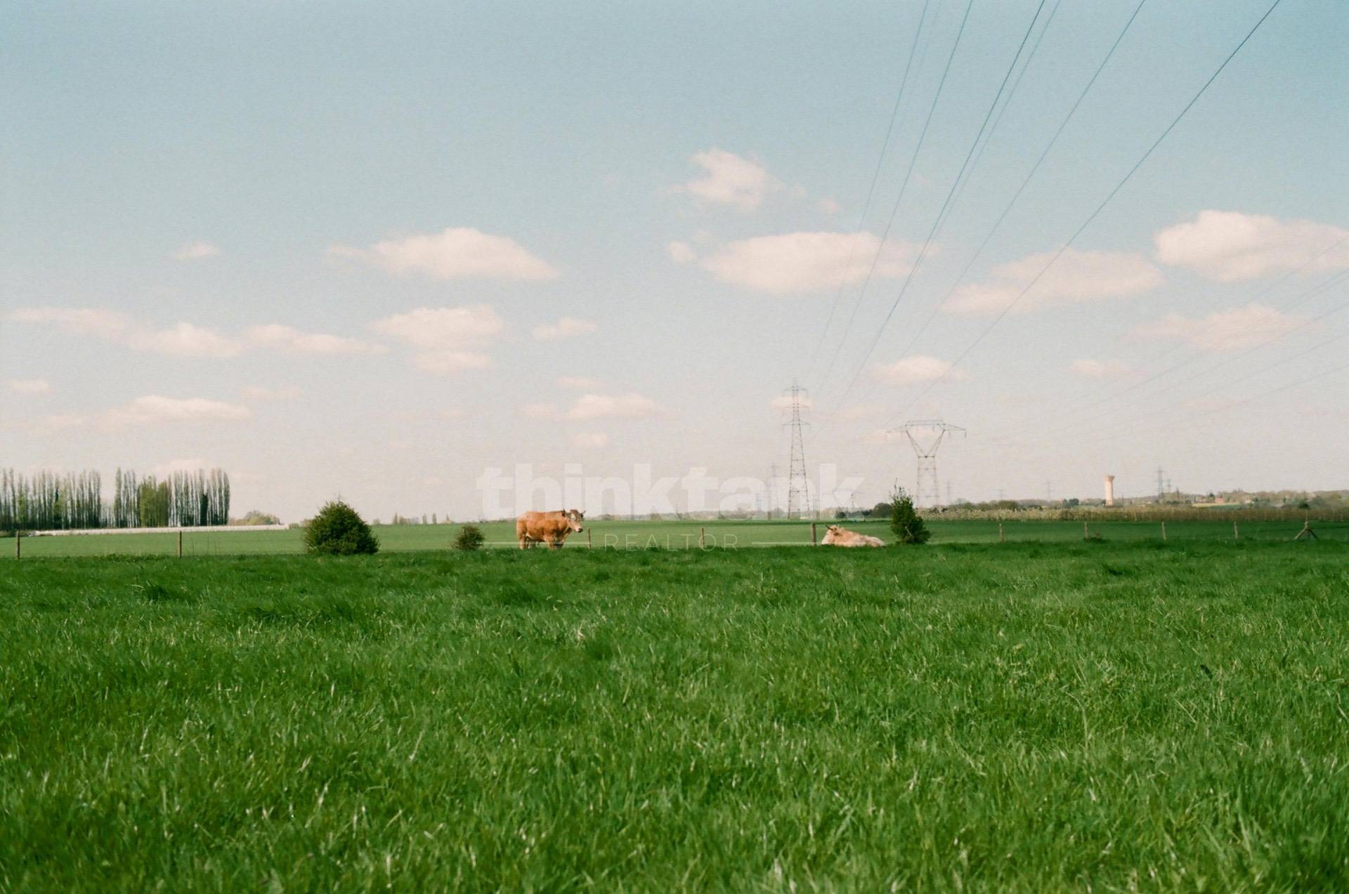 Terreno in vendita a Castel di Iudica