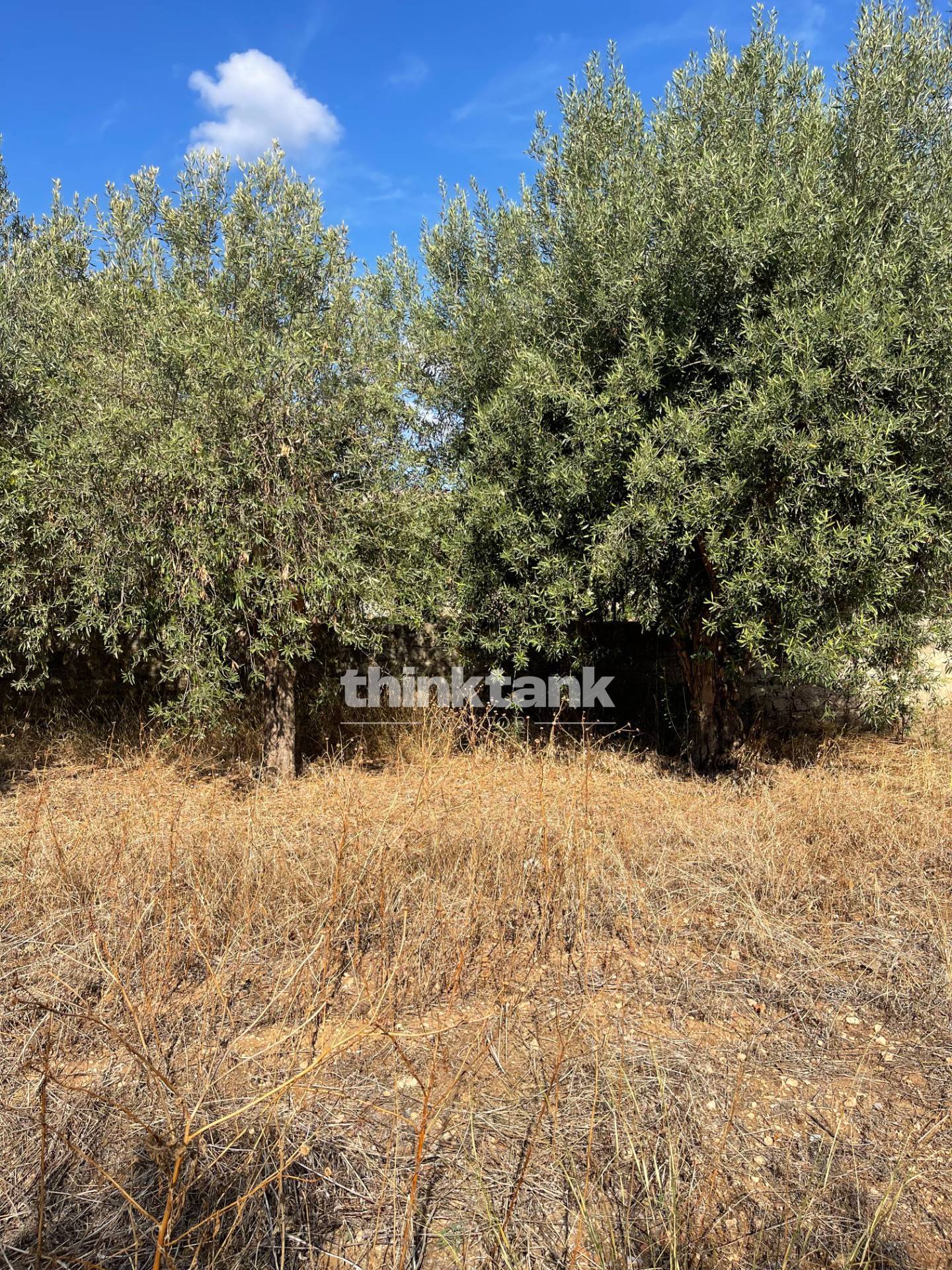 Terreno Edificabile in vendita a Siracusa