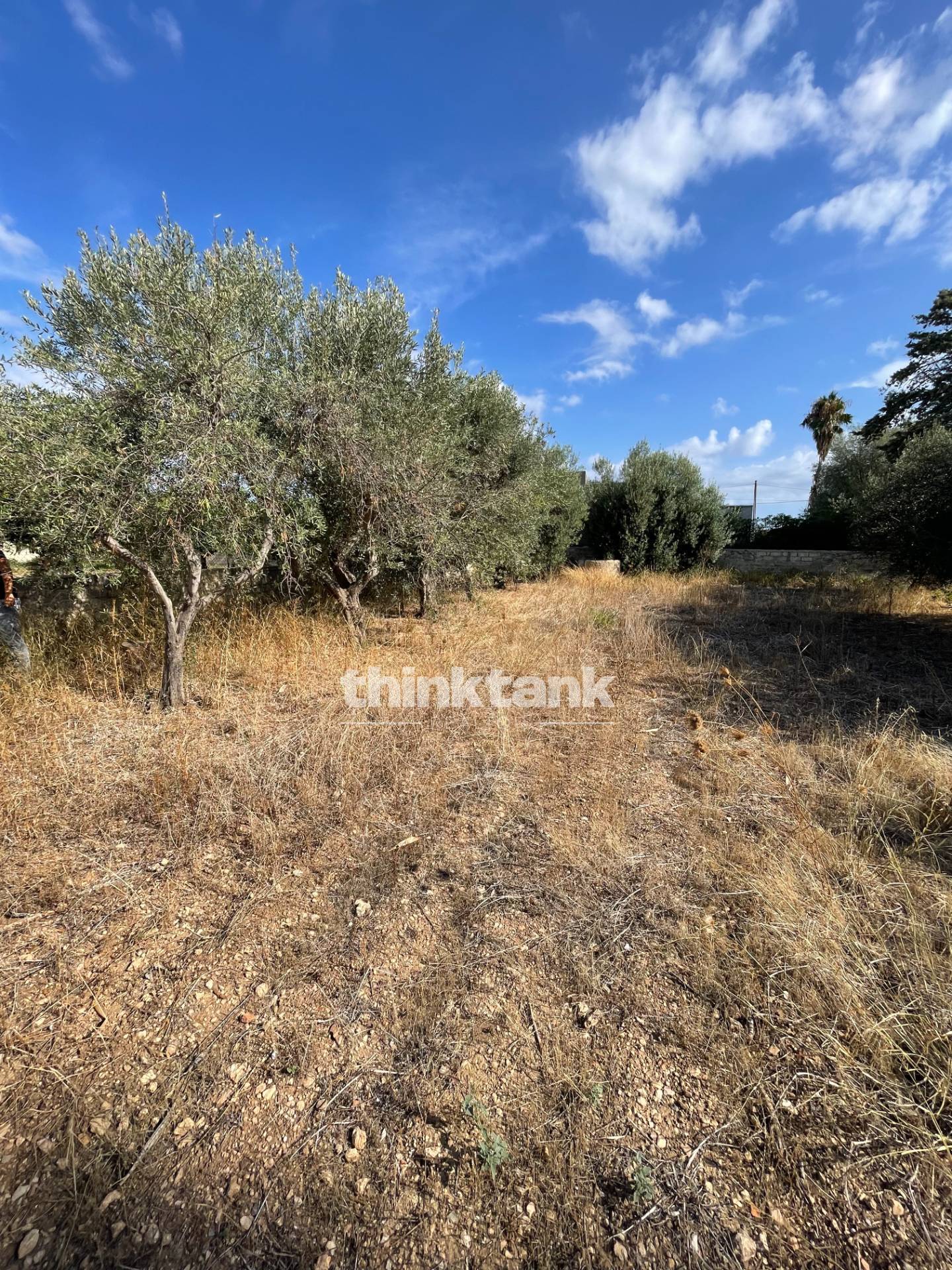 Terreno Edificabile in vendita a Siracusa