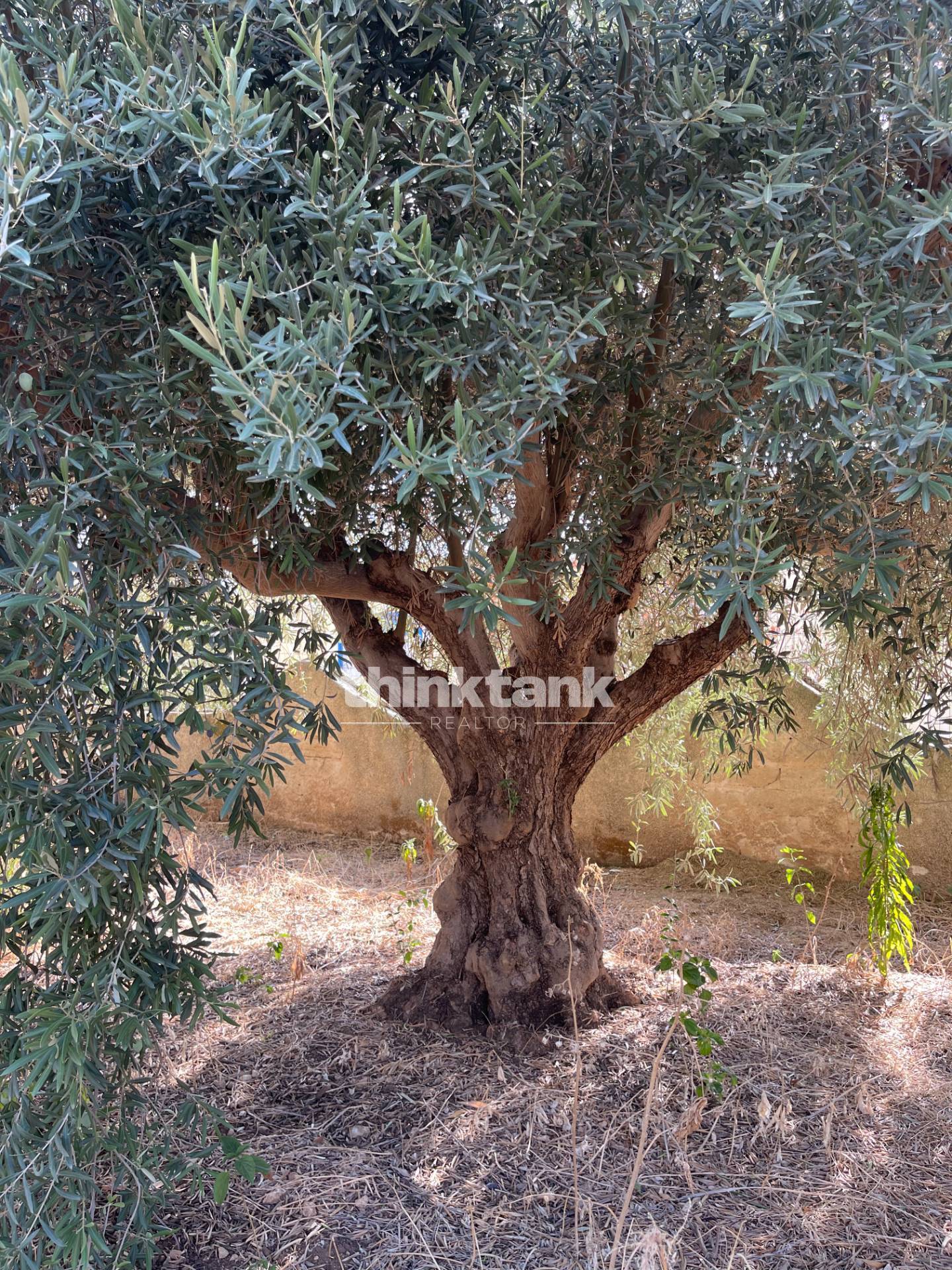Terreno Edificabile in vendita a Siracusa
