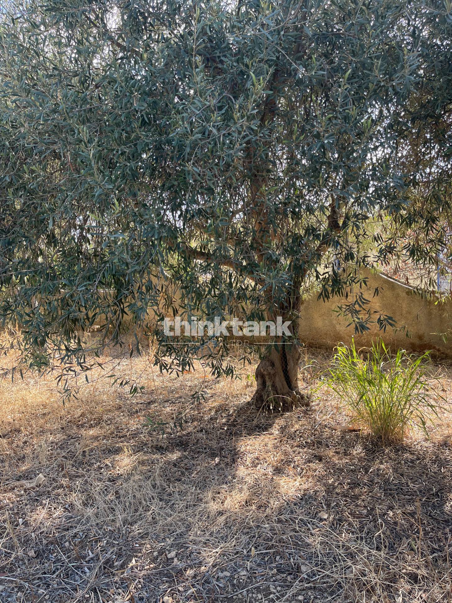 Terreno Edificabile in vendita a Siracusa