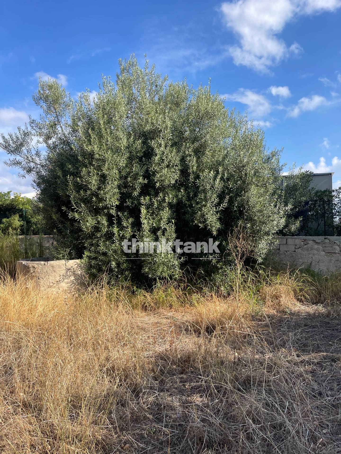 Terreno Edificabile in vendita a Siracusa