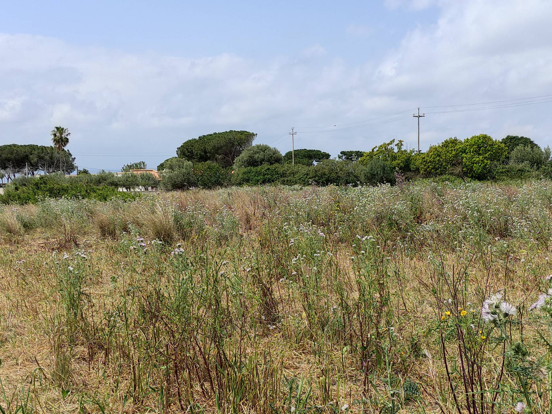 Terreno Edificabile in vendita a Siracusa
