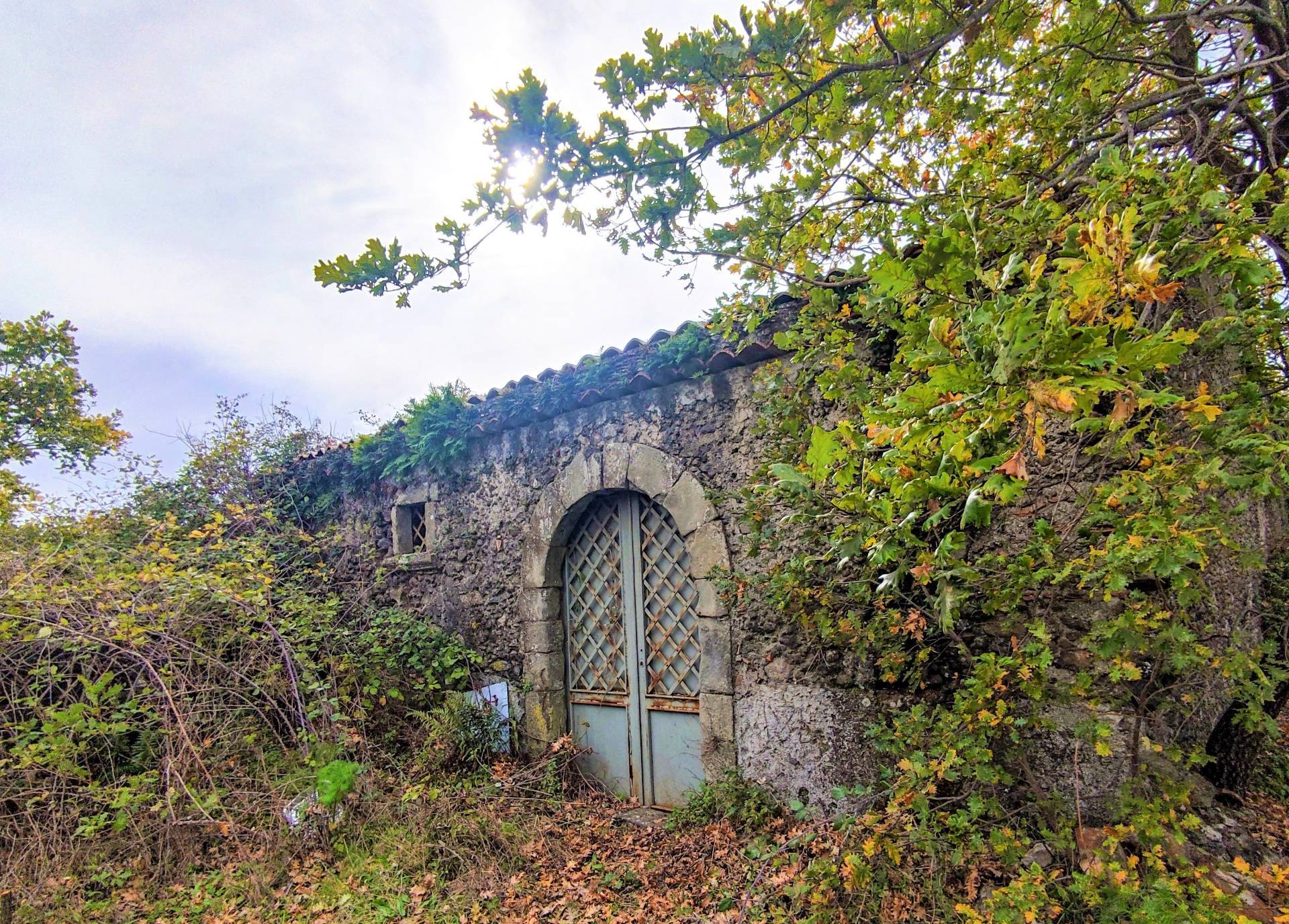 Rustico/Casale/Corte in vendita a Linguaglossa