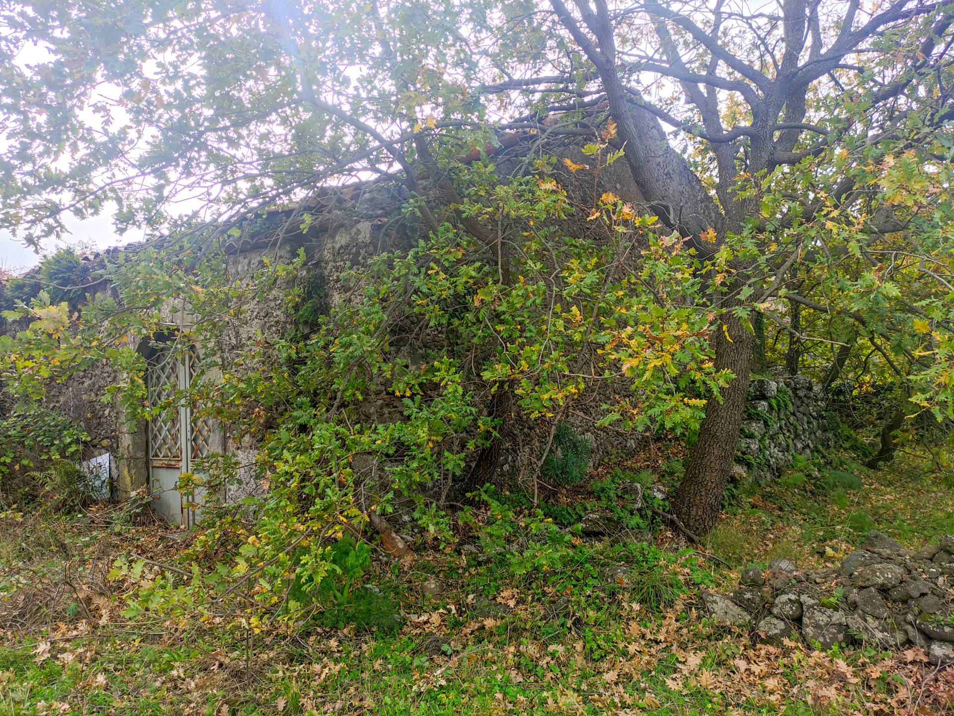 Rustico/Casale/Corte in vendita a Linguaglossa