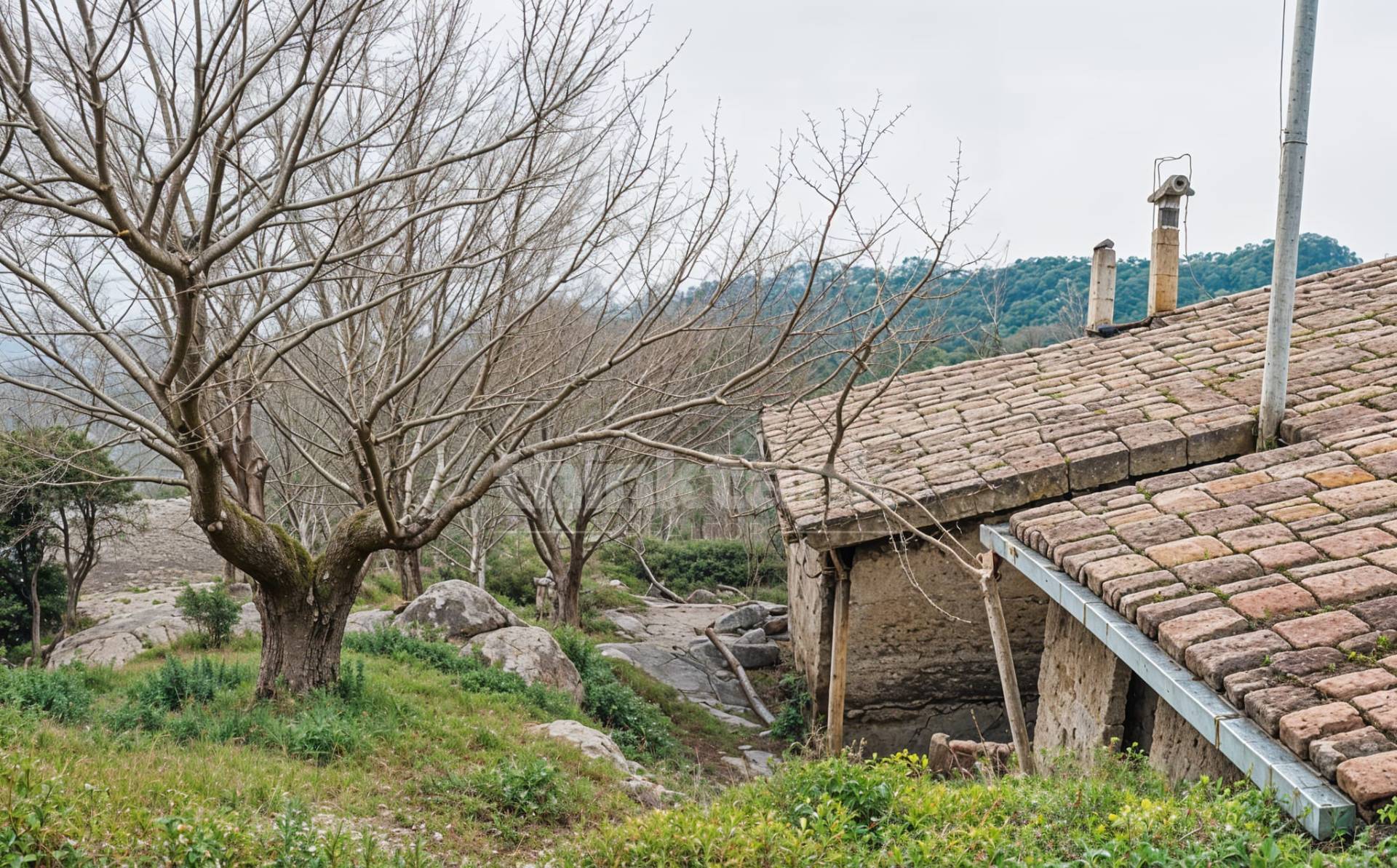 Rustico/Casale/Corte in vendita a Castelmola