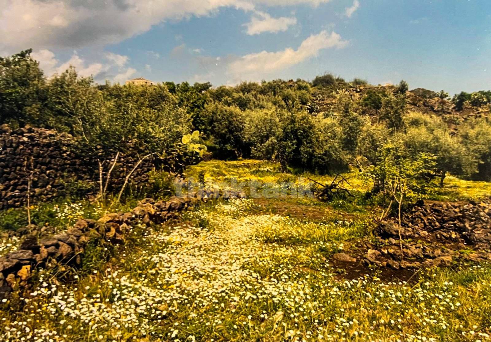 Rustico/Casale/Corte in vendita a Ragalna