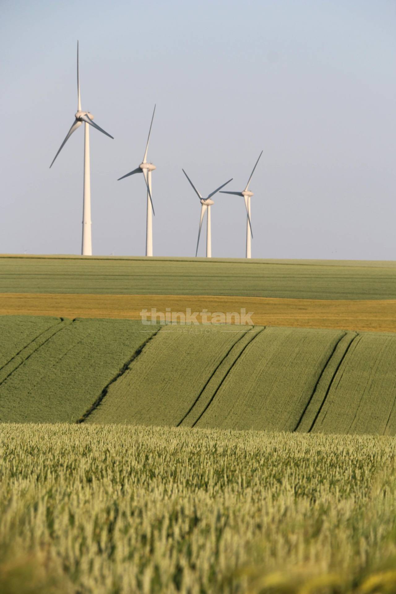 Terreno in vendita a Castel di Iudica