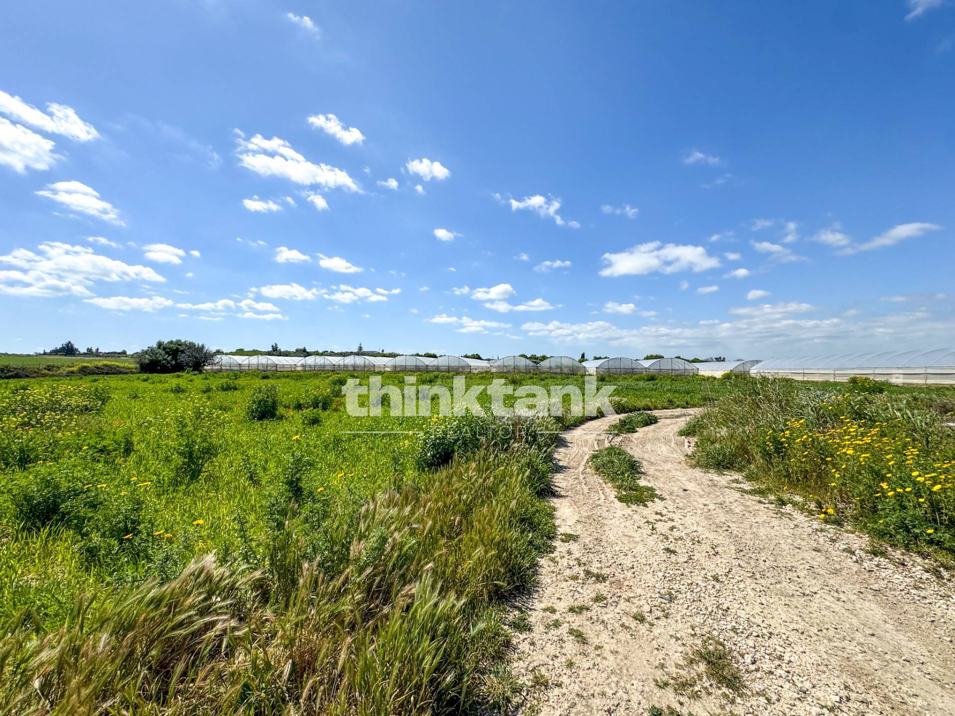 Rustico/Casale/Corte in vendita a Noto