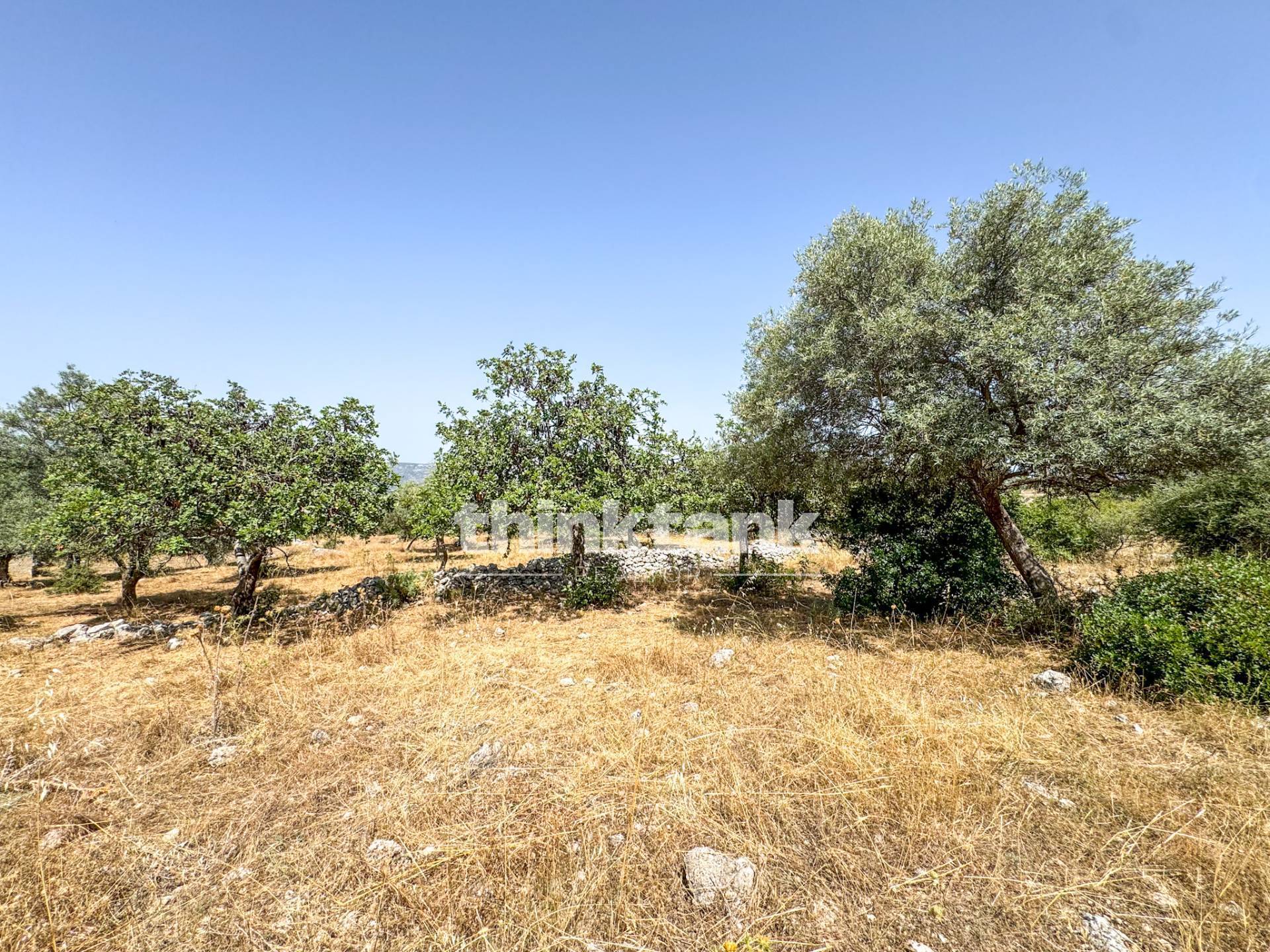 Terreno agricolo in vendita a Solarino