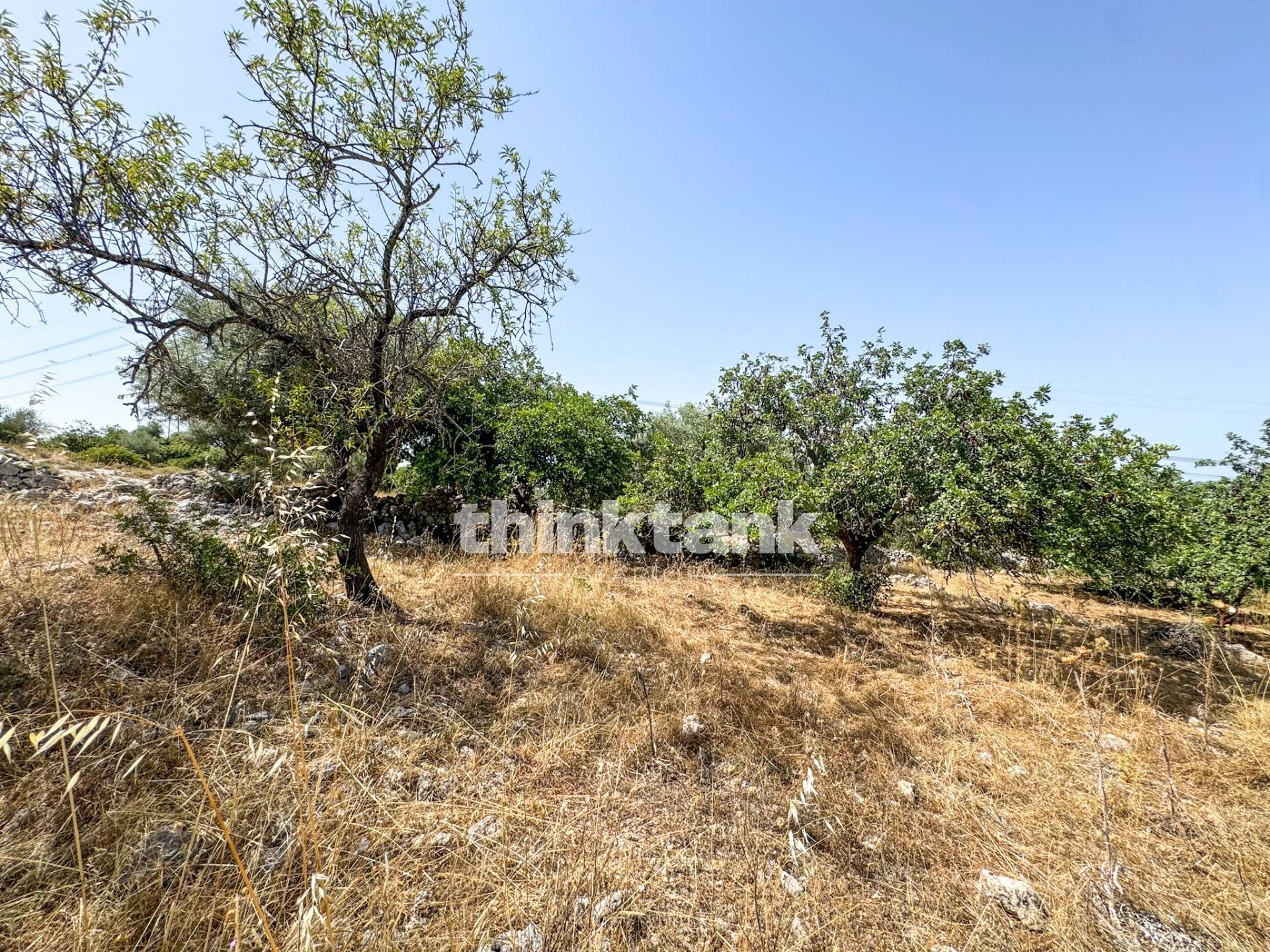 Terreno agricolo in vendita a Solarino