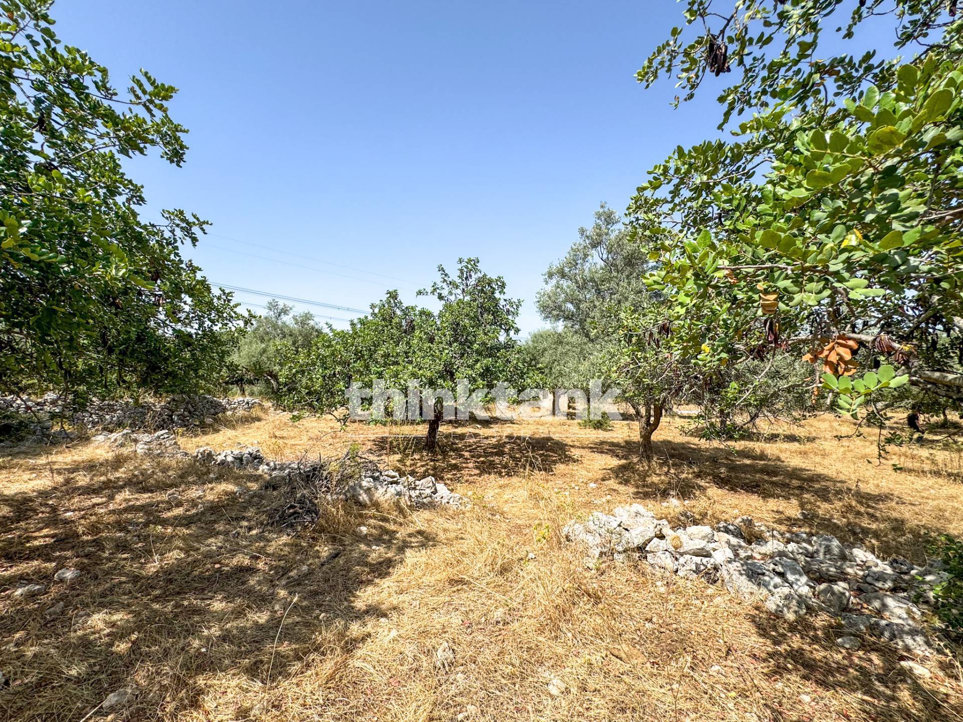 Terreno agricolo in vendita a Solarino