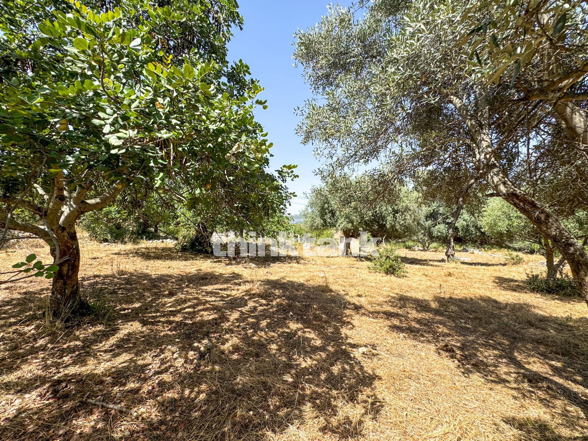 Terreno agricolo in vendita a Solarino