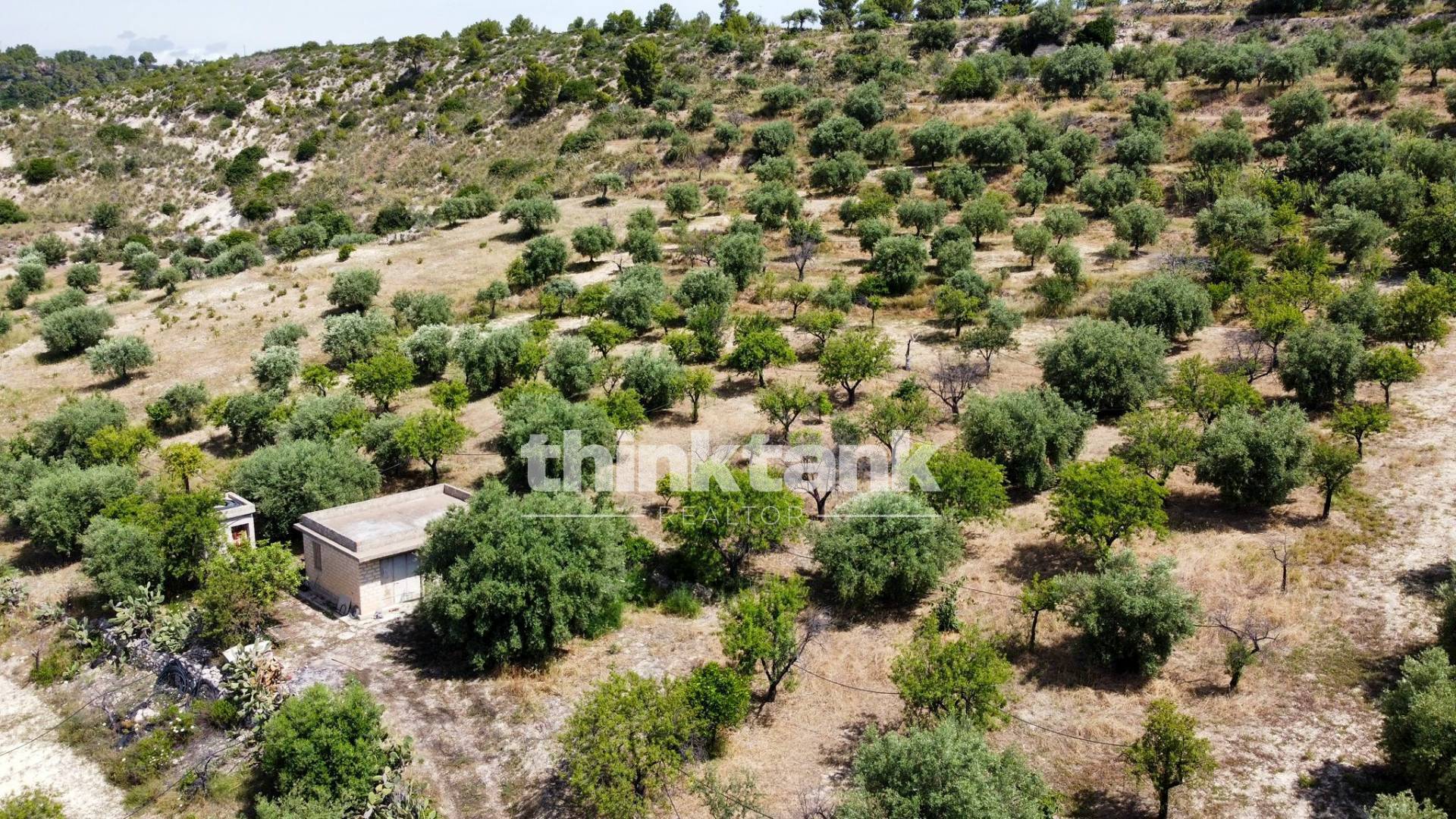 Terreno agricolo in vendita a Noto