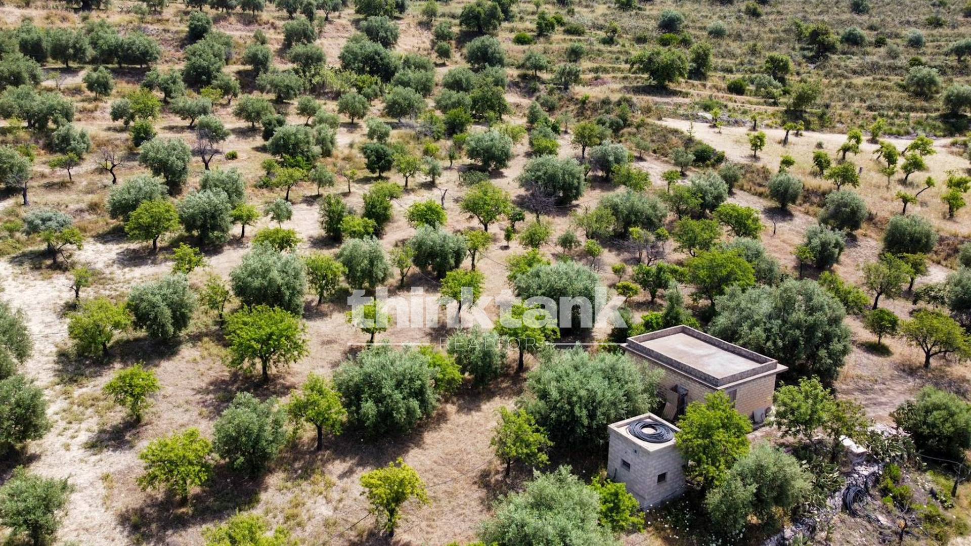 Terreno agricolo in vendita a Noto